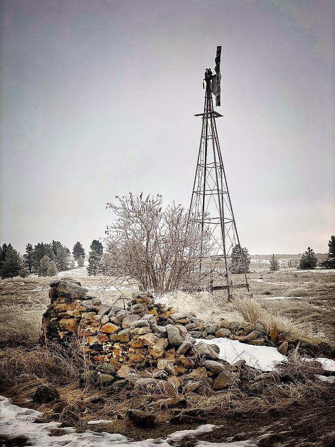 Old Root Cellar and Windmill  Photograph by Jerry Abbott