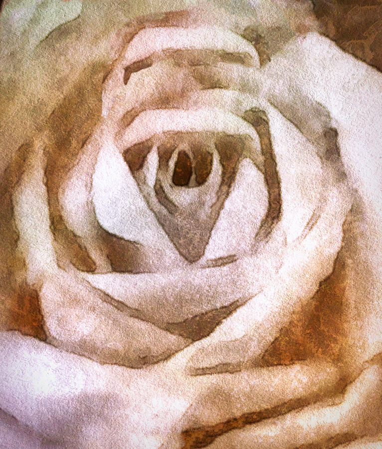 Old Rose Painting by Susan Maxwell Schmidt