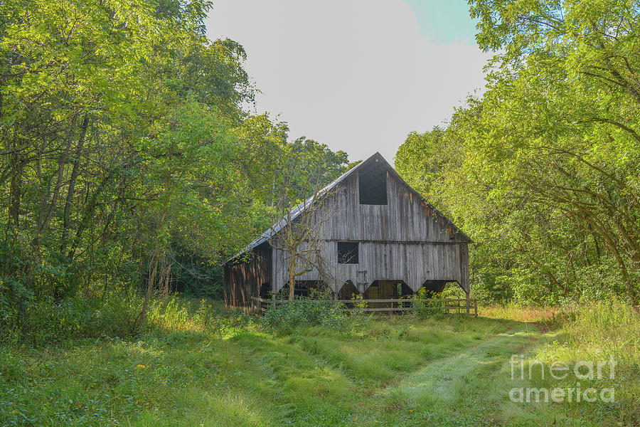 Old Rundown Barn In The Wilderness Of The Mountains In Missouri Photograph