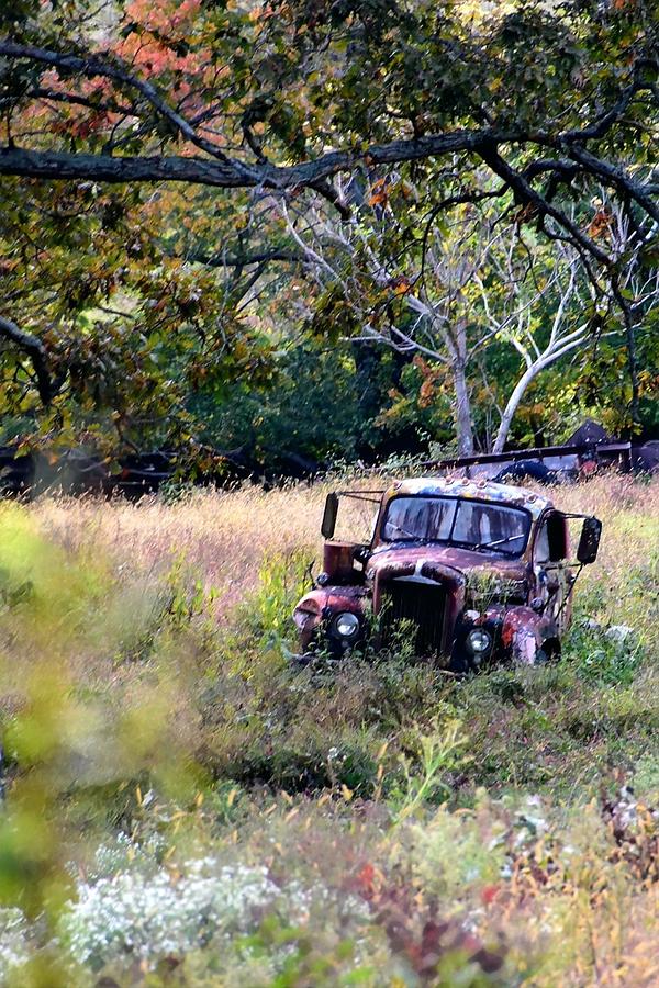 Old Rust in a field Photograph by Lauren Sage