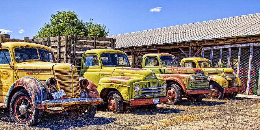 Old rusted and yellow in a row Photograph by Tatiana Travelways