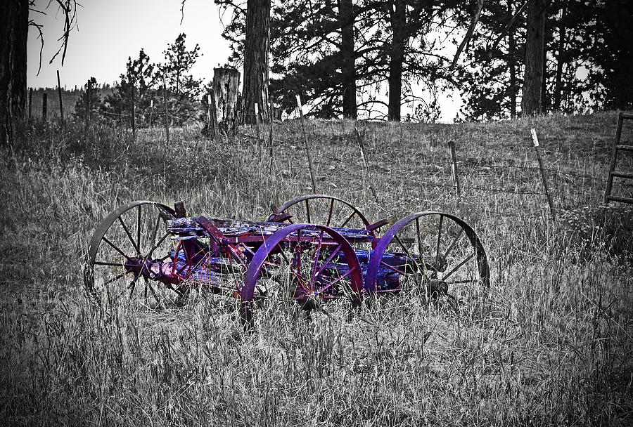 Old rusted out wagon  Digital Art by Fred Loring