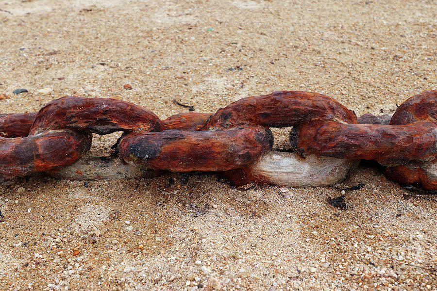Old rusty chain on the beach sand Photograph by Michal Boubin