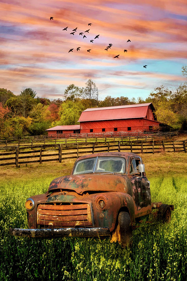 Old Rusty in the Farm Pastures Photograph by Debra and Dave Vanderlaan ...