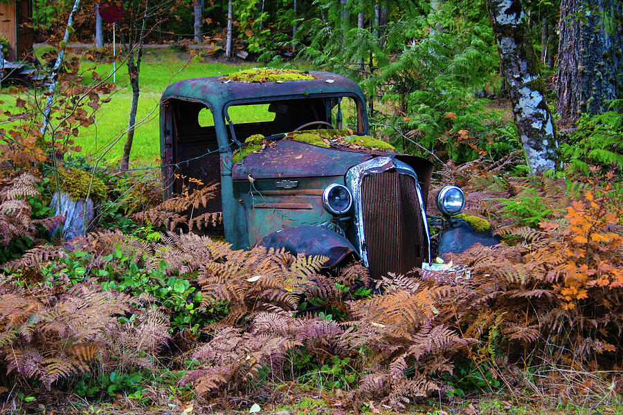Old Rusty Truck  Photograph by Mary Gaines