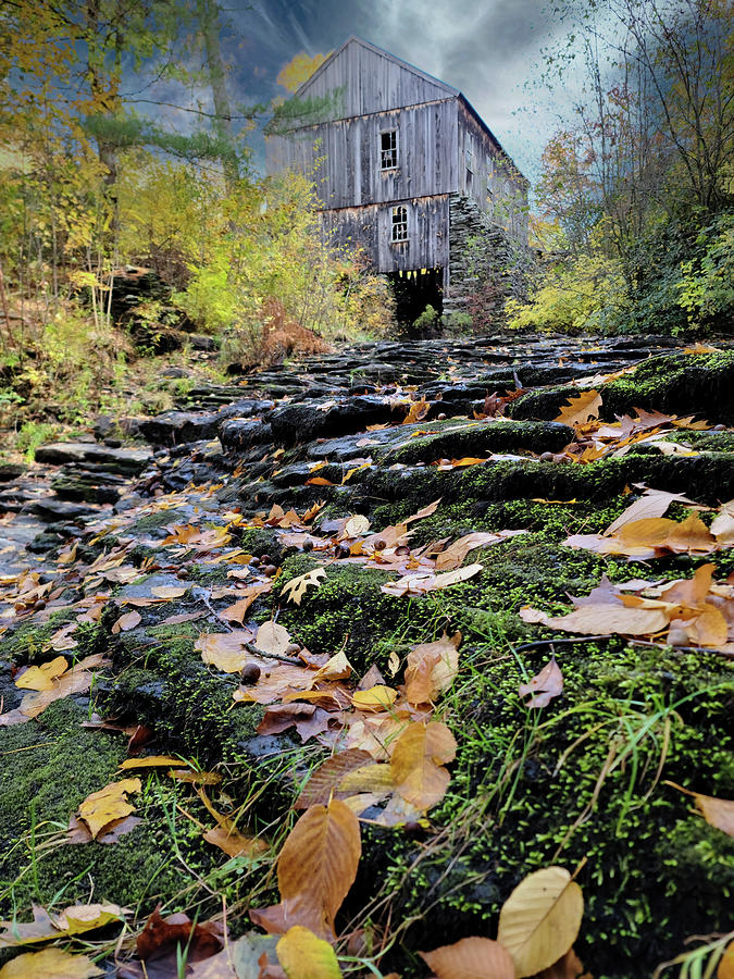 Old Sawmill In Moore State Park Photograph