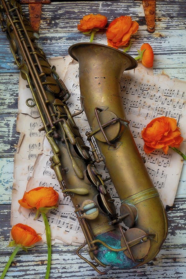 Old Sax And Ranunculus Photograph by Garry Gay
