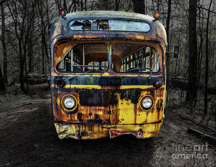 Old School bus Photograph by Nick Zelinsky Jr