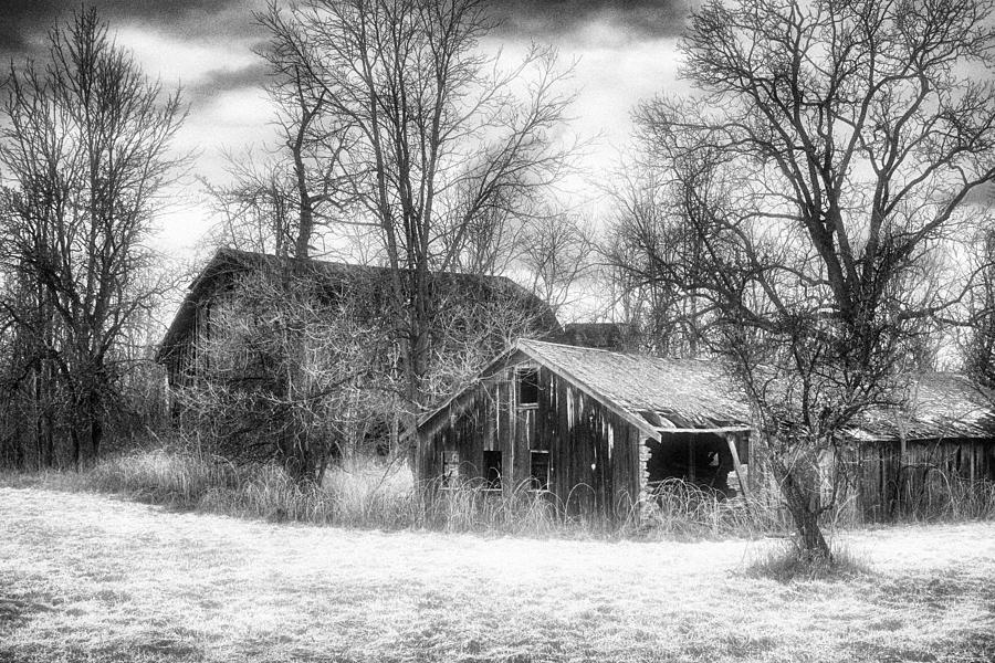 Old Shabby Barns Photograph by Jeffrey Holbrook