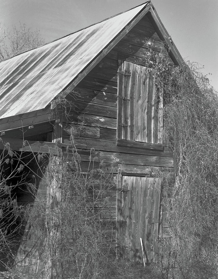 Old Shed, Harris County, 1985 Photograph by John Simmons