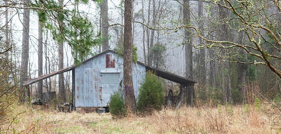 Old Shed in Rural Pamlico County North Carolina Photograph by Bob Decker