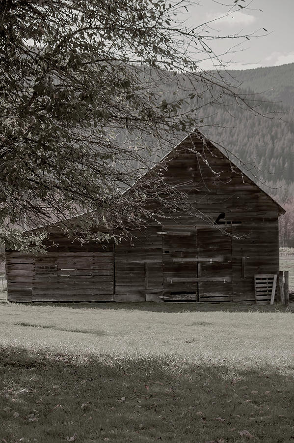Old shed in the Northern Cascades Photograph by Cathy Anderson