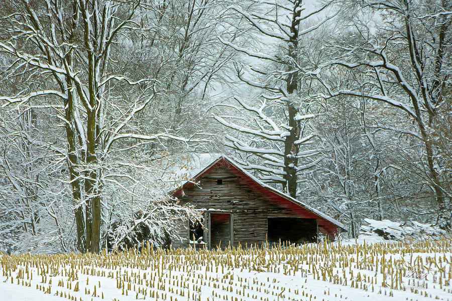 Old Shed in Winter Photograph by Trey Foerster - Fine Art America