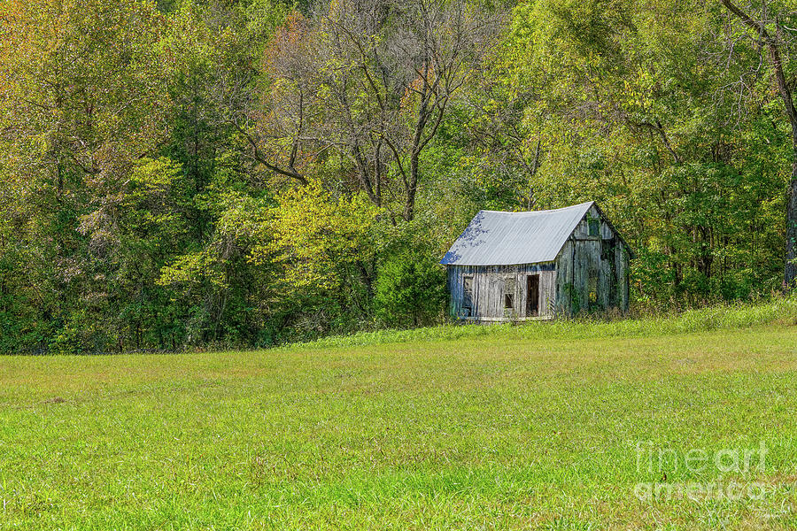Old Shed On A Hill Photograph by Jennifer White