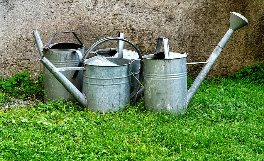 Old sheet metal watering cans on grass Photograph by EKH-Pictures