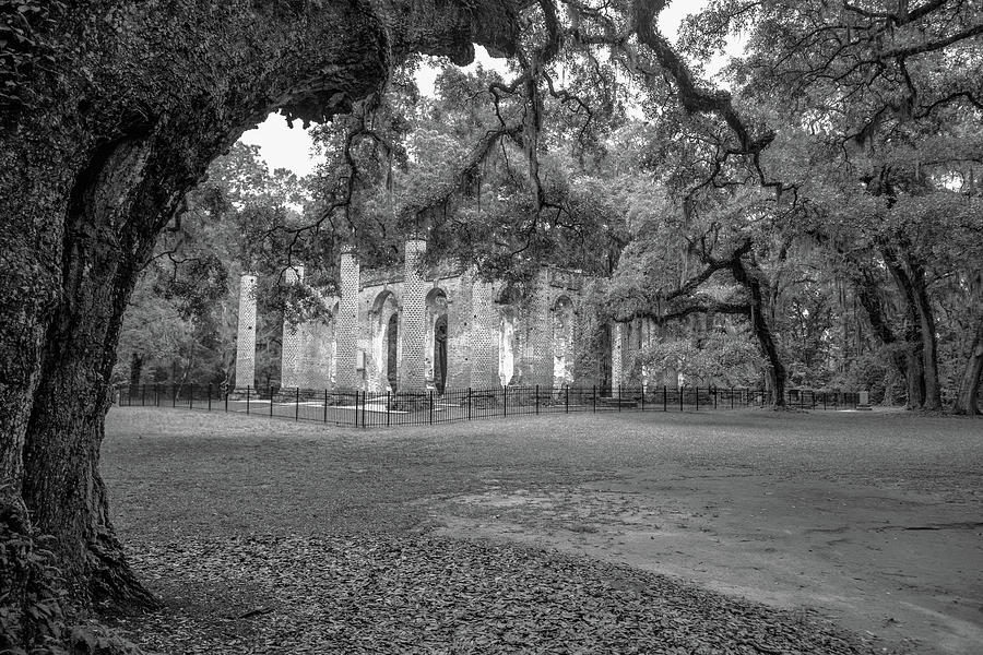 Old Sheldon Church Ruins in Black and White Photograph by Cindy Robinson