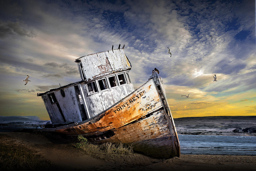 Old Shipwreck at the Point Reyes National Seashore Photograph by Randall Nyhof