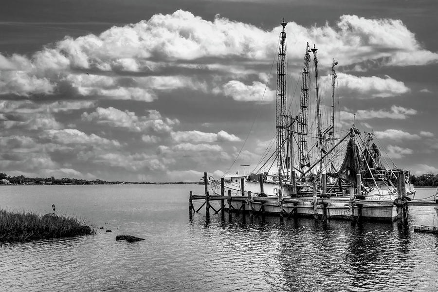 Old Shrimp Boats in the Harbor Black and White Photograph by Debra and Dave Vanderlaan