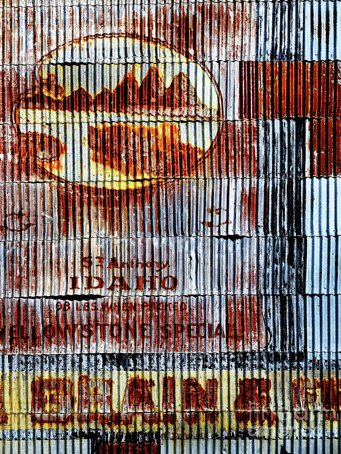 Old Signs on Wall of Steel Building Photograph by Lane Erickson