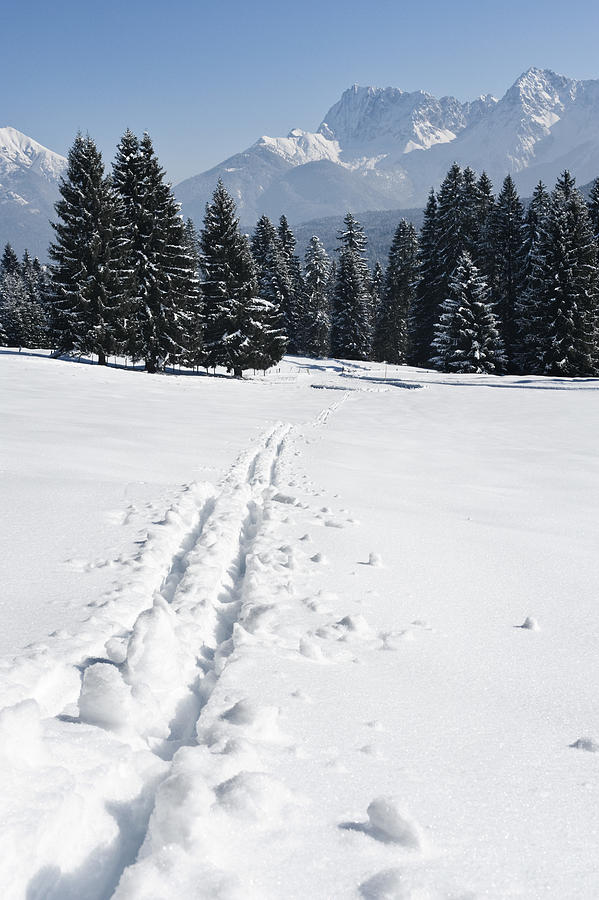 Old ski tracks in winter landscape, Garmisch, Bavaria, Germany Photograph by Lumi Images/Robert Niedring