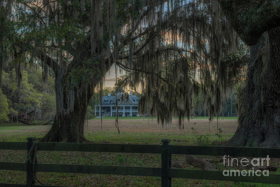Old South Plantation Home - Charleston South Carolina Photograph by Dale Powell