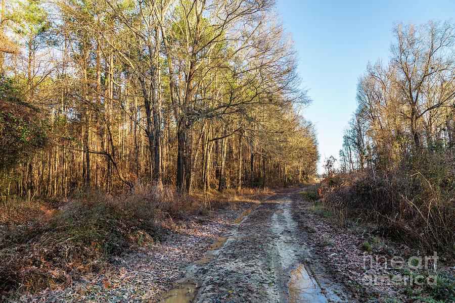 Old State Road-North Photograph by Charles Hite