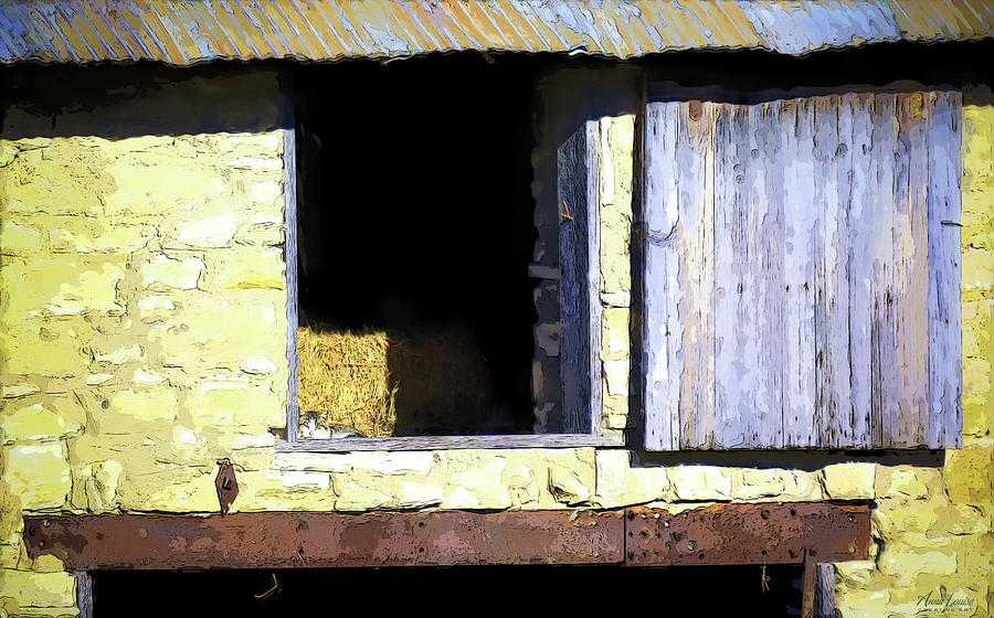 Old Stone Barn With Sunning Cat Photograph by Anna Louise