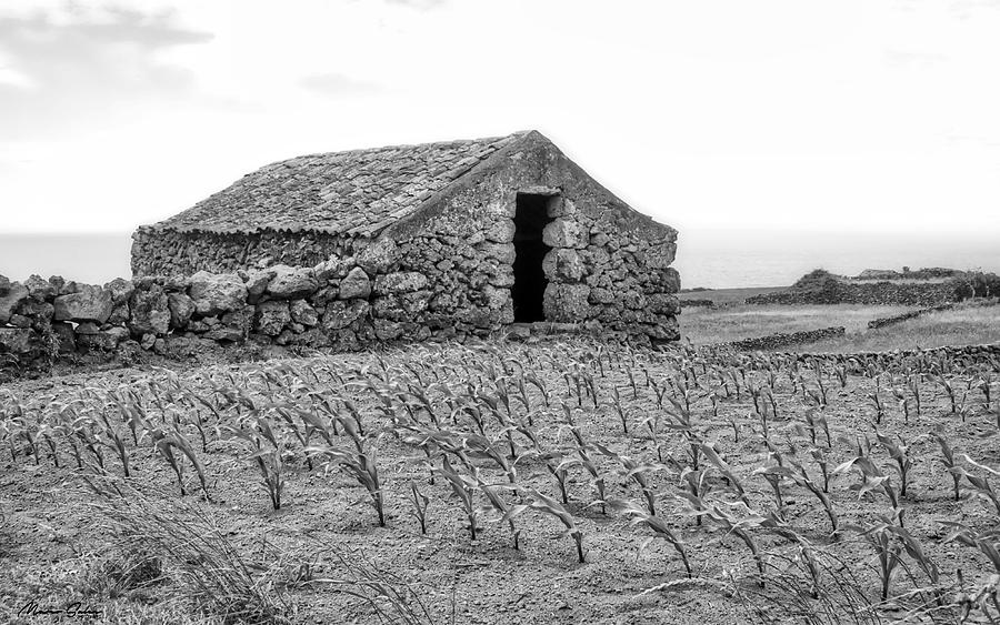 Old Stone Shed in Azores countryside Photograph by Marco Sales