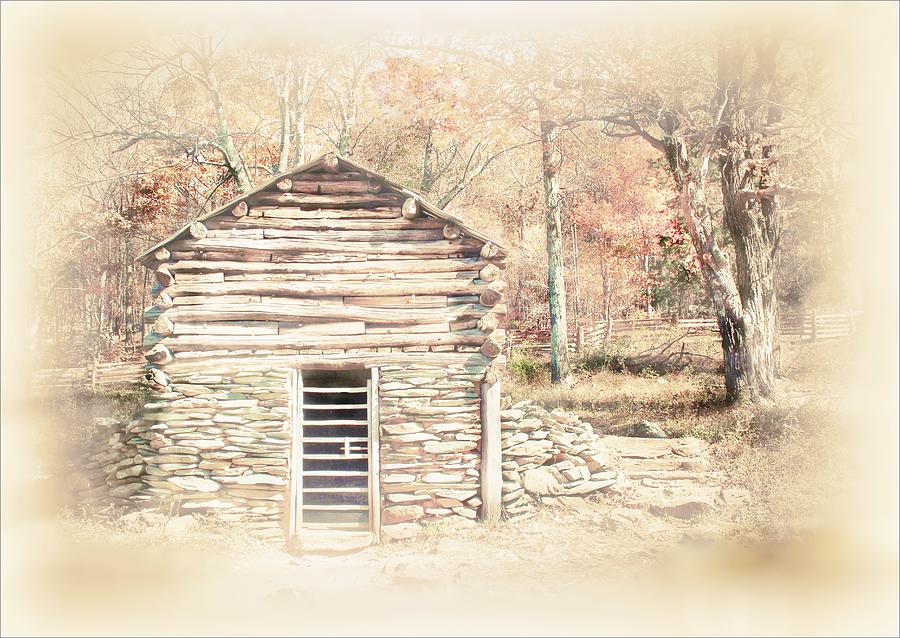 Tree Photograph - Old Story, Appalachian Mountains Autumn, Va by Slawek Aniol
