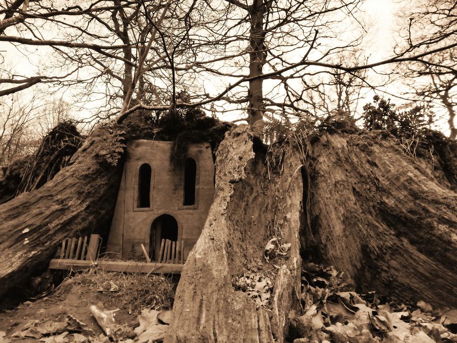 Old Stump Cottage Photograph by Justin Farrimond