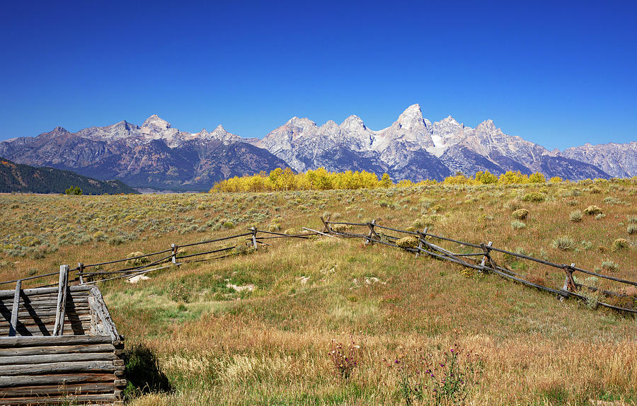 Old Teton Homestead In Autumn Photograph by Dan Sproul
