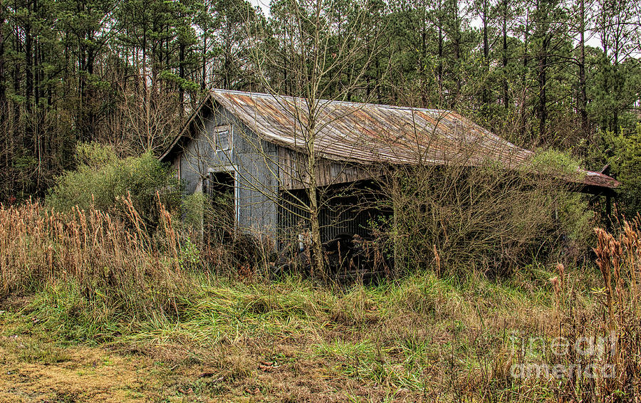 Rustic Barn Photograph by Michelle Tinger