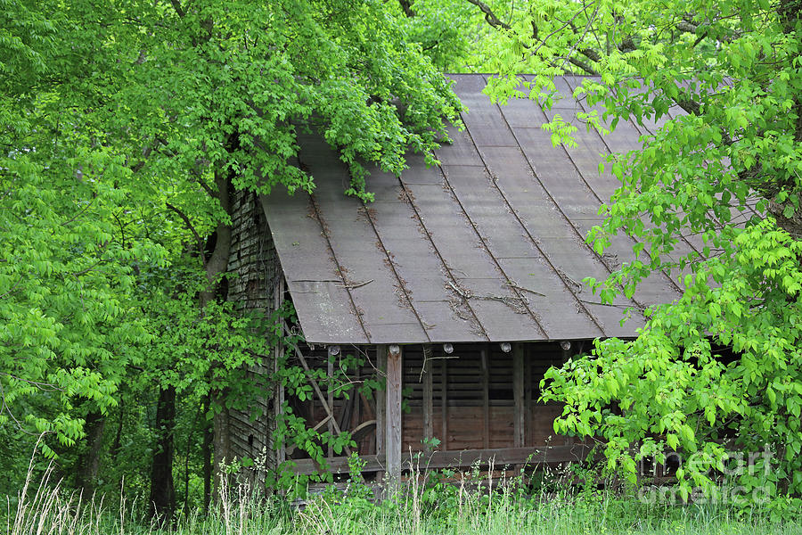 Old Tobacco Barn Roof 0305 Photograph by Jack Schultz