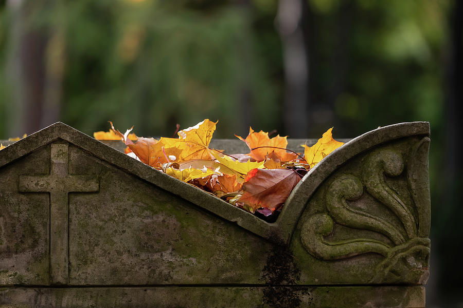 Old Tombstone With Sunlit Fallen Leaves Photograph by Artur Bogacki