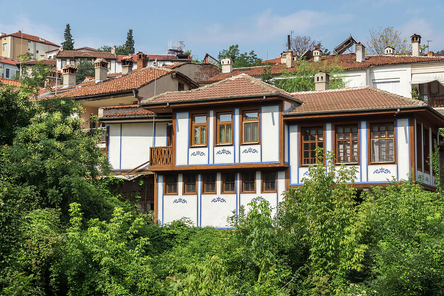 Old Town Plovdiv - Lush Green Hillside Villa in the City Center Photograph by Georgia Mizuleva