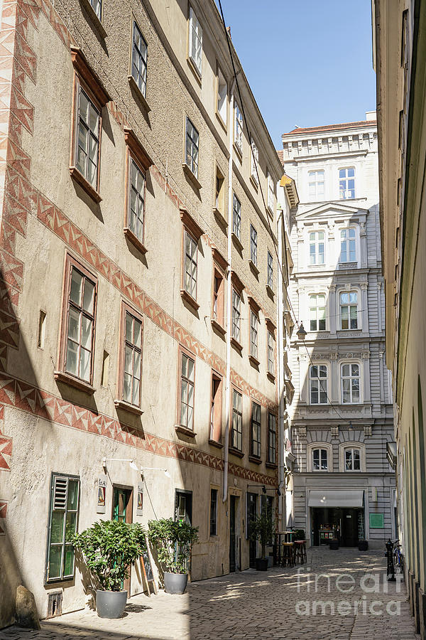 Old Town Vienna Photograph by Natasha Riha - Fine Art America