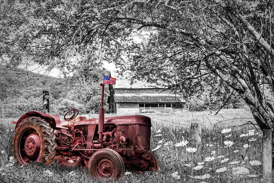 Old Tractor in the Wildflowers Black and White and Red Photograph by Debra and Dave Vanderlaan