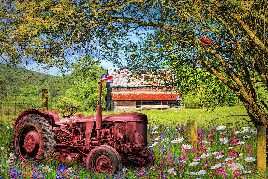 Old Tractor in the Wildflowers Photograph by Debra and Dave Vanderlaan