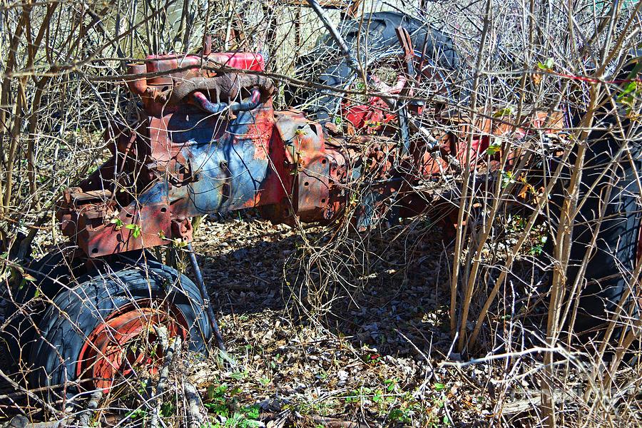 Old Tractor In Weeds Photograph