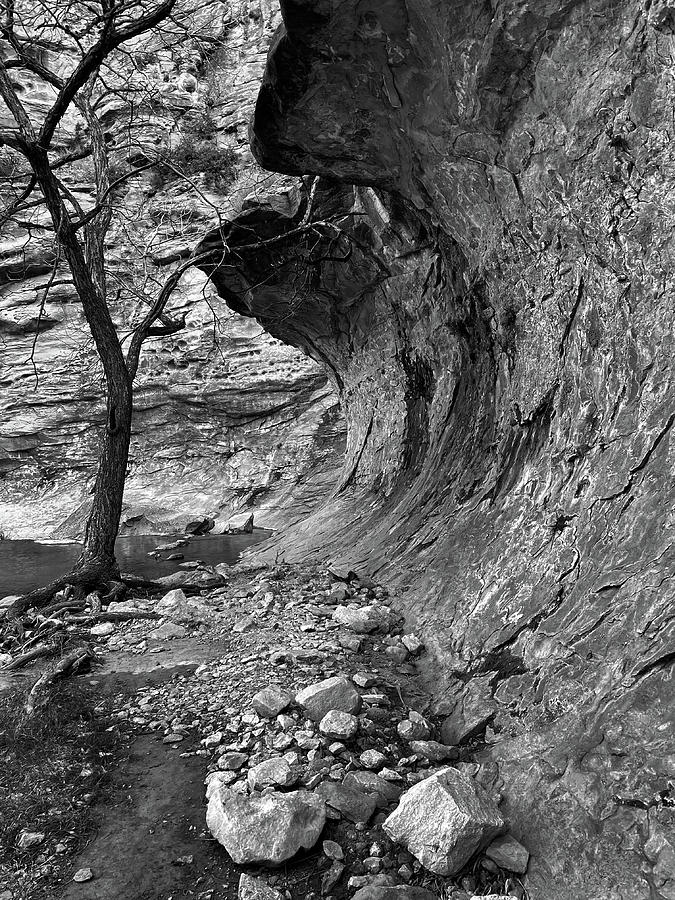 Old Tree and Overhang 2 - Sitting Bull Falls, Guadalupe Mountains, New Mexico Photograph by Richard Porter
