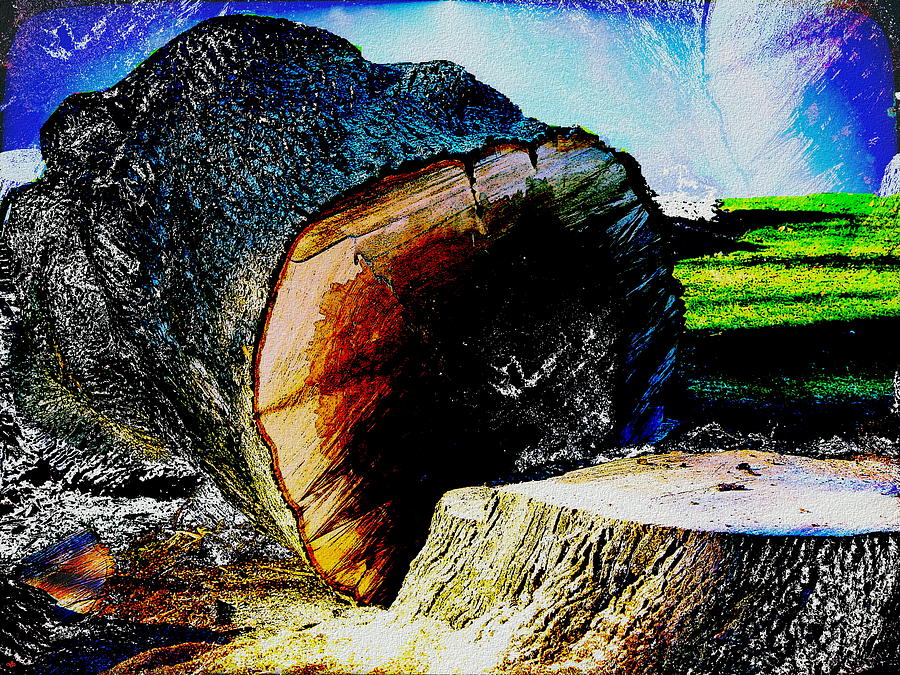 Old Tree Down Digital Art by Cliff Wilson
