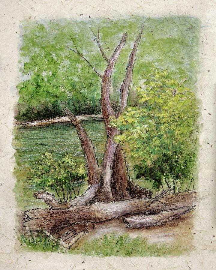Old Trees on the Creek Painting by Candy Mayer