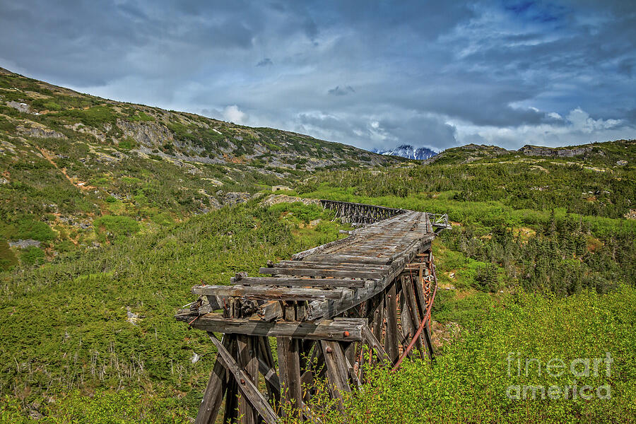 Nature Photograph - Old Trestle by Robert Bales