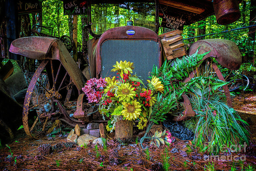 Old Truck and Flowers Photograph by Nick Zelinsky Jr