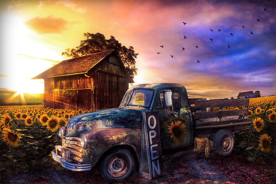 Old Truck at the Sunflower Farm Autumn Sunset Photograph by Debra and Dave Vanderlaan