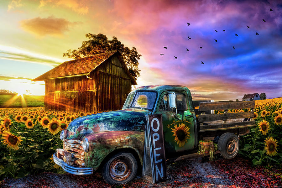 Old Truck at the Sunflower Farm Photograph by Debra and Dave Vanderlaan