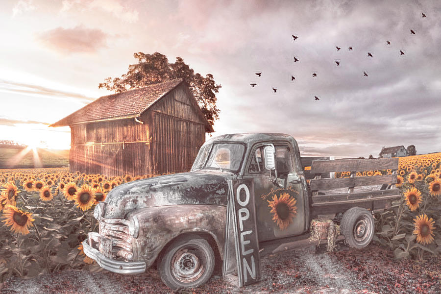 Barn Photograph - Old Truck at the Sunflower Farm in Country Colors by Debra and Dave Vanderlaan