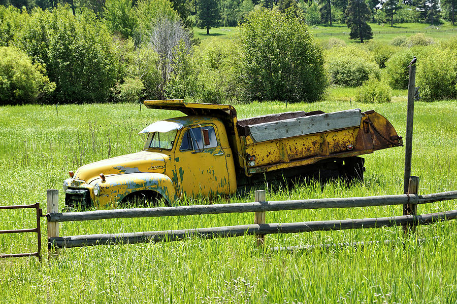 Tree Photograph - Old Truck Near Philipsburg Montana 1 by John Trommer