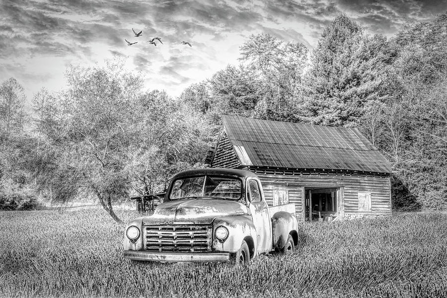 Old Truck Wildflower Meadow Black and White Photograph by Debra and ...