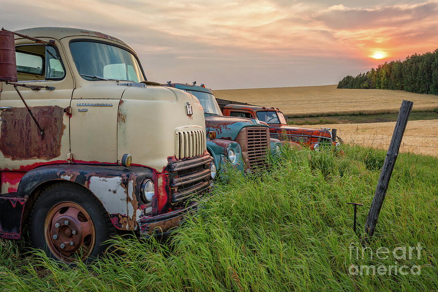 Old Trucks on the Farm Photograph by Bret Barton
